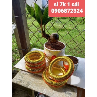 Đế chưng Dưa hấu, Dừa,Bưởi