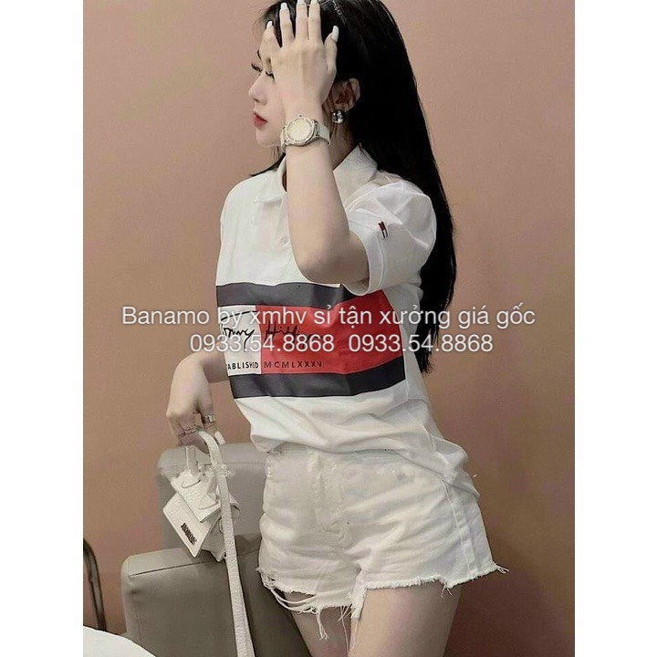 Áo polo nam nữ Tommy áo phông cổ bẻ chất cá sấu mềm mát thời trang Banamo Fashion polo unisex Tommy 3925