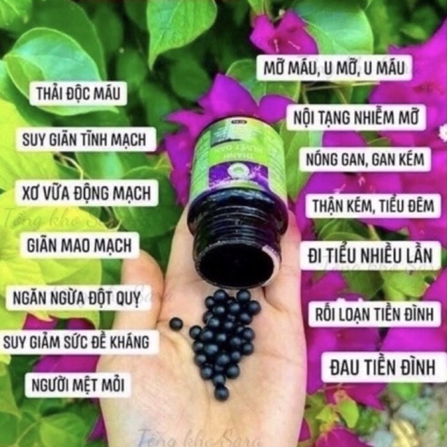 Huyết thanh đan Trần Kim Huyền - Cải thiện chất lượng máu, thận kém, ngừa đột quỵ, giảm u mỡ