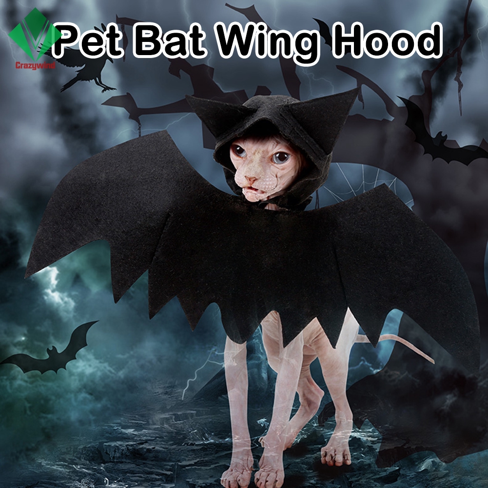 Trang Phục Hóa Trang Halloween Cho Thú Cưng