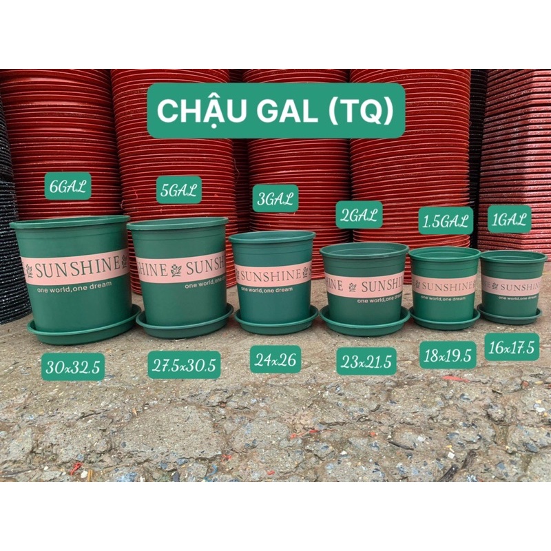 Chậu nhựa trồng cây Sunshine 5 GL/6GL nhập khẩu TQ, chậu trồng cây để bàn, ban công, ngoài trời,
