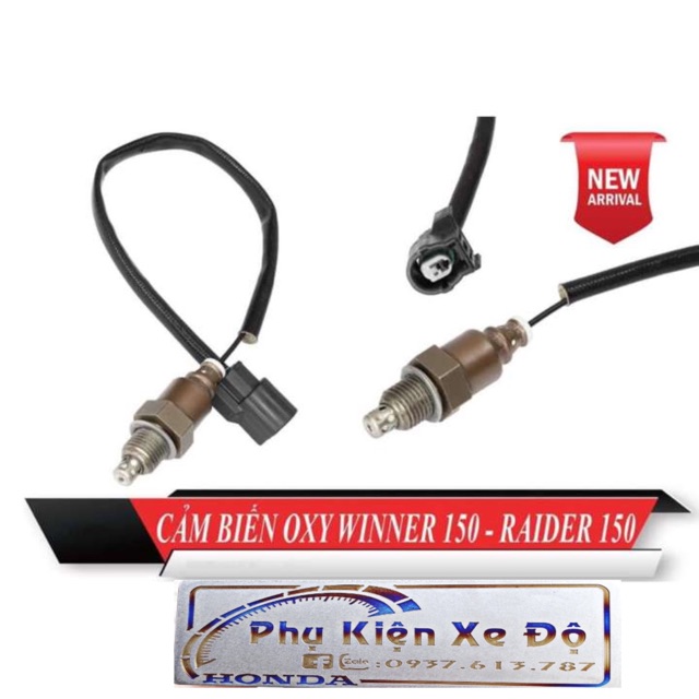 CẢM BIẾN OXY WINNER, SONIC