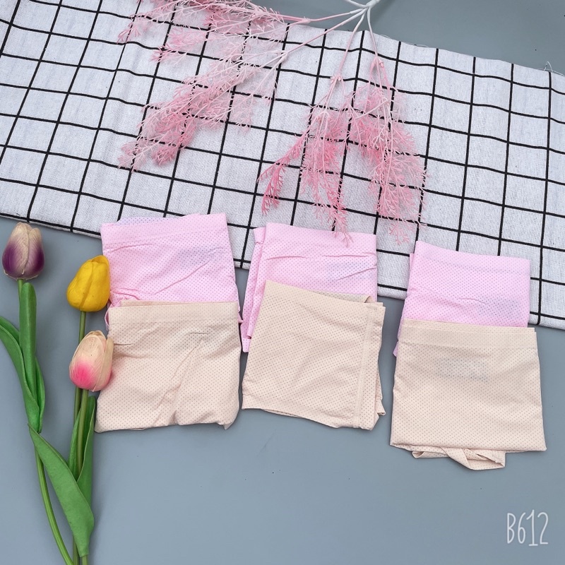 Quần lót su thông hơi chất đẹp co giãn thoải mái (1c)TL01