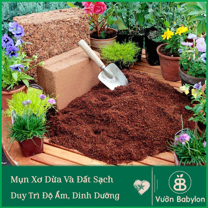 Giá Thể Mùn Xơ Dừa Trồng Cây Sfarm Chất Lượng Cao Bao 20dm3