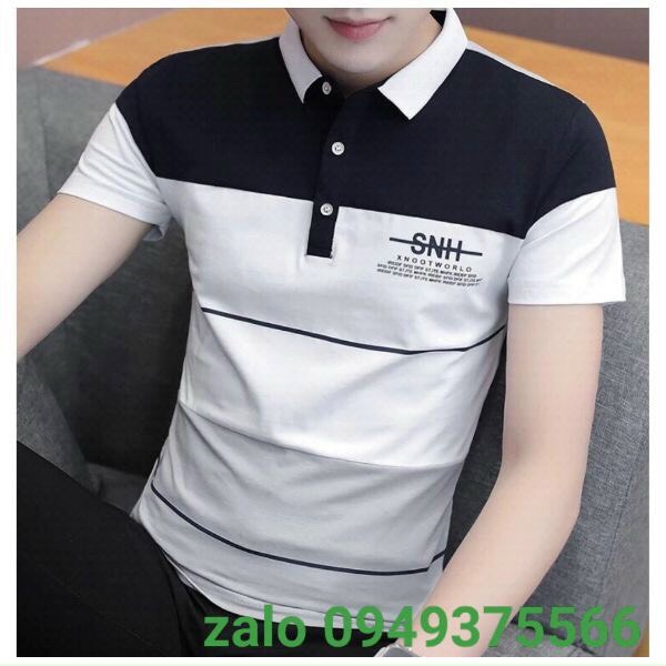 Áo thun cổ bẻ polo cao cấp vải thun cotton siêu co dãn hàng chuẩn shop Phuongnamshop20 kve38
