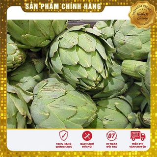 Hạt giống cây hoa atiso xanh Đà Lạt ( gói 04 hạt)