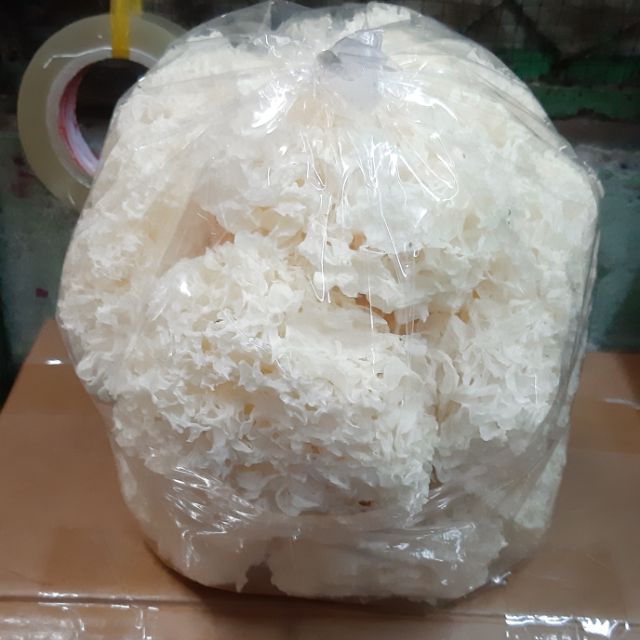 [XẢ KHO 3 NGÀY] Nấm tuyết ( ngân nhĩ ) loại 1 - 1kg