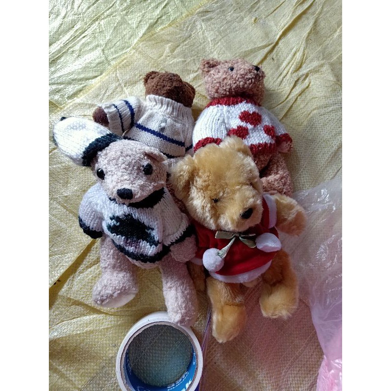 gấu bông Nguyen Hoà