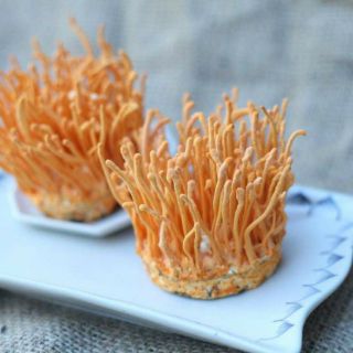 ĐÔNG TRÙNG HẠ THẢO SẤY KHÔ 100G