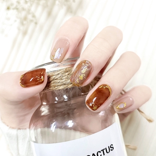 Sơn móng gel móng Hổ phách vỏ rùa chọn lẻ 4 màu