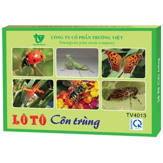 Lô tô côn trùng