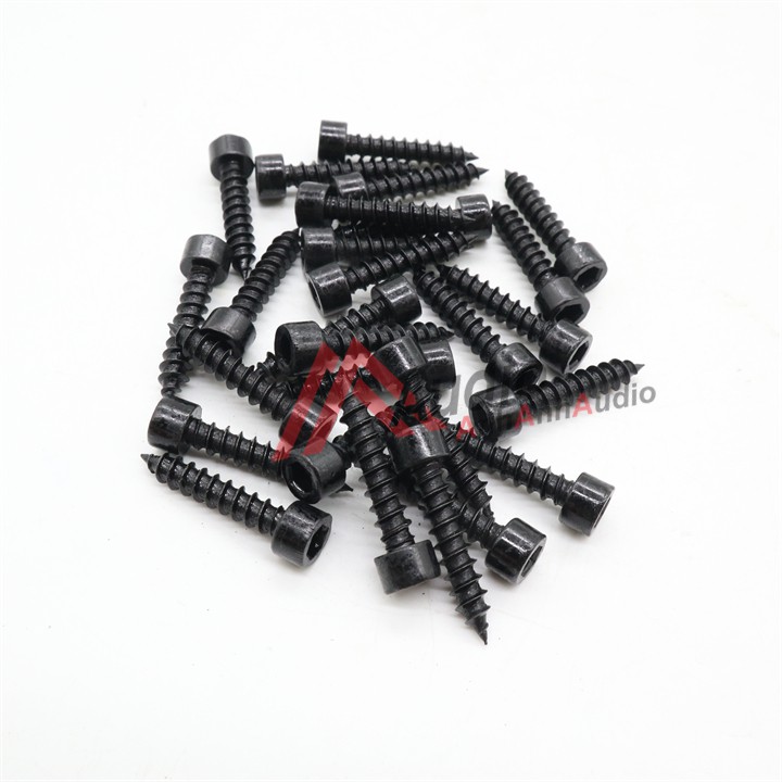 Vít Lục giác chìm đóng thùng loa 5x25mm , Giá 1 con