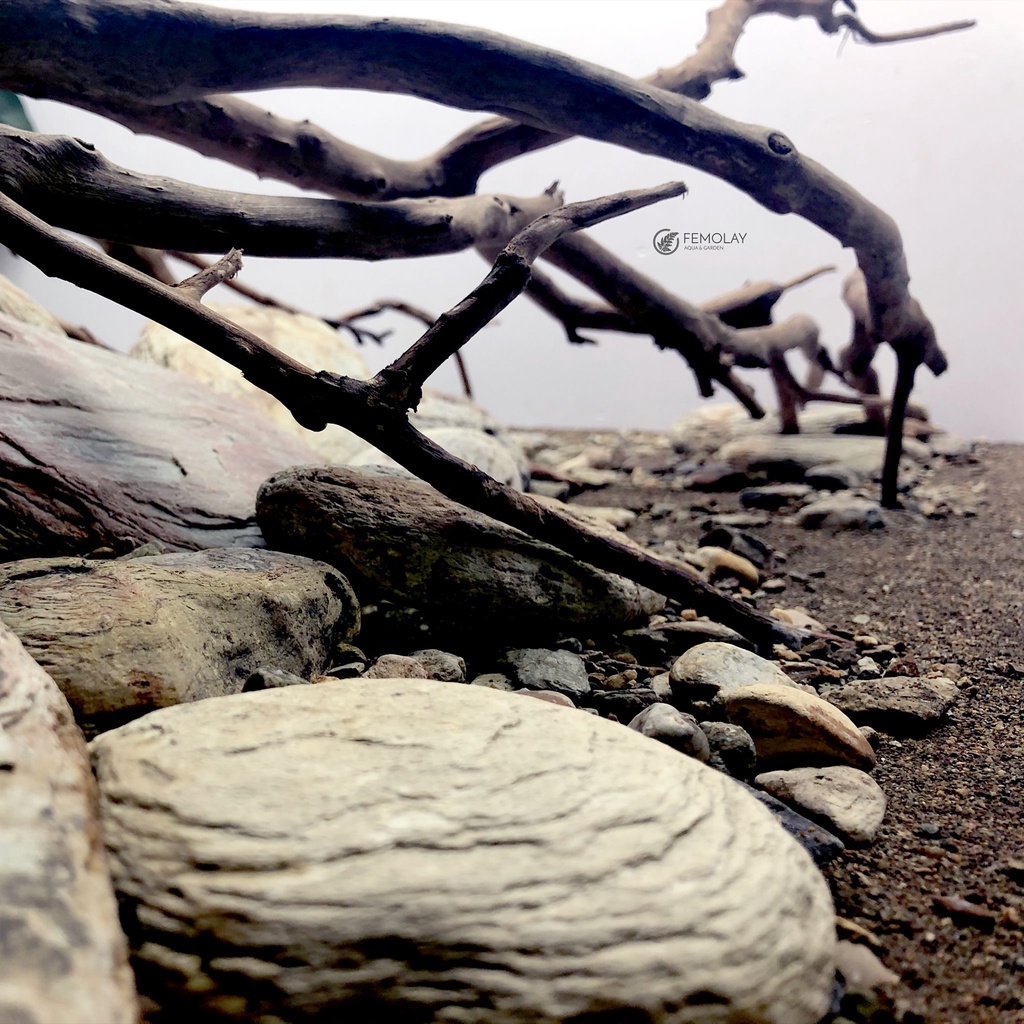 Sạn Suối Thiên Nhiên Femolay | Size XL | Bao 2KG | Trang trí trải nền bể thủy sinh, Biotope.