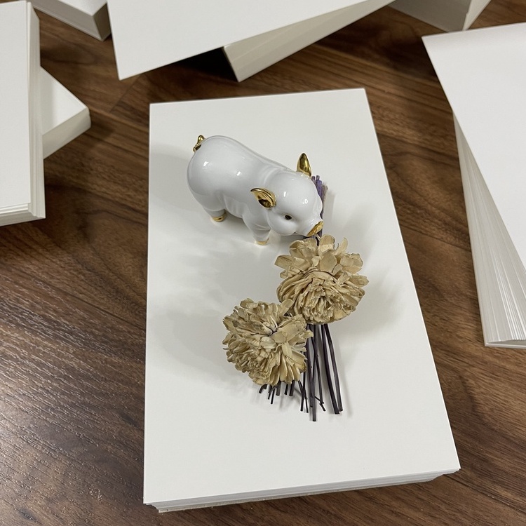 Flashcard - 100 Thẻ trắng 15x25cm chuẩn giấy Ivory 350