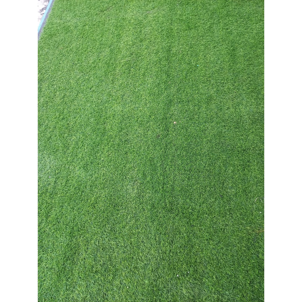 Thảm cỏ nhân tạo - tấm cỏ nhựa trải sàn - cỏ giả cao 3cm