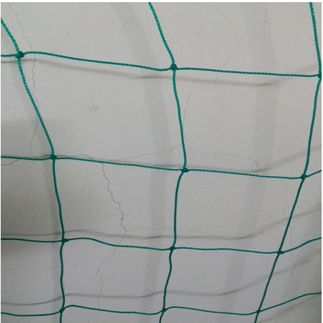 lưới giàn leo , lưới giàn bầu, bí (rộng 2x4m)