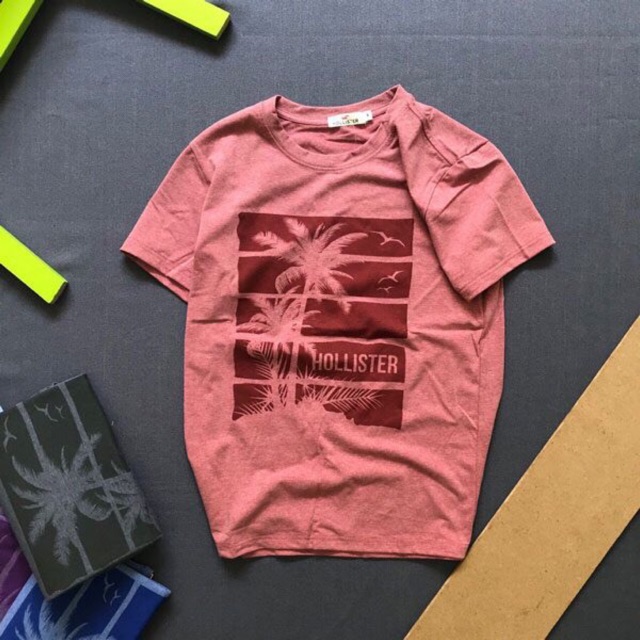 Áo thun Cotton Hollister (có hình thật )