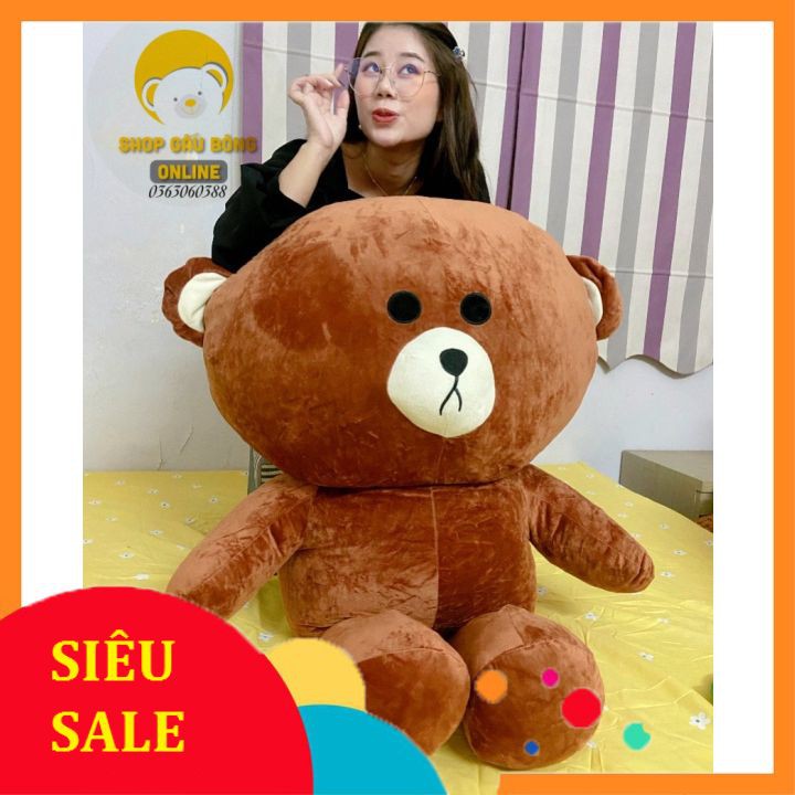 Gấu brown siêu hót khổ 50cm, 80cm, 1m, 1m3, 1m5