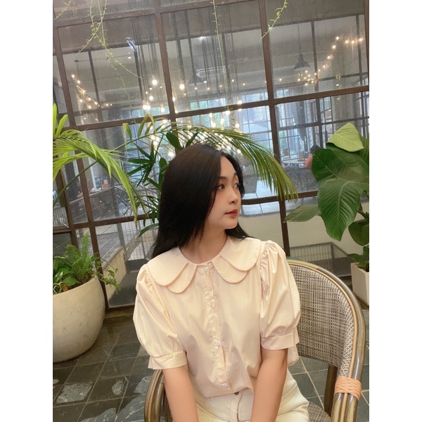 Áo sơ mi cổ 2 lá sen