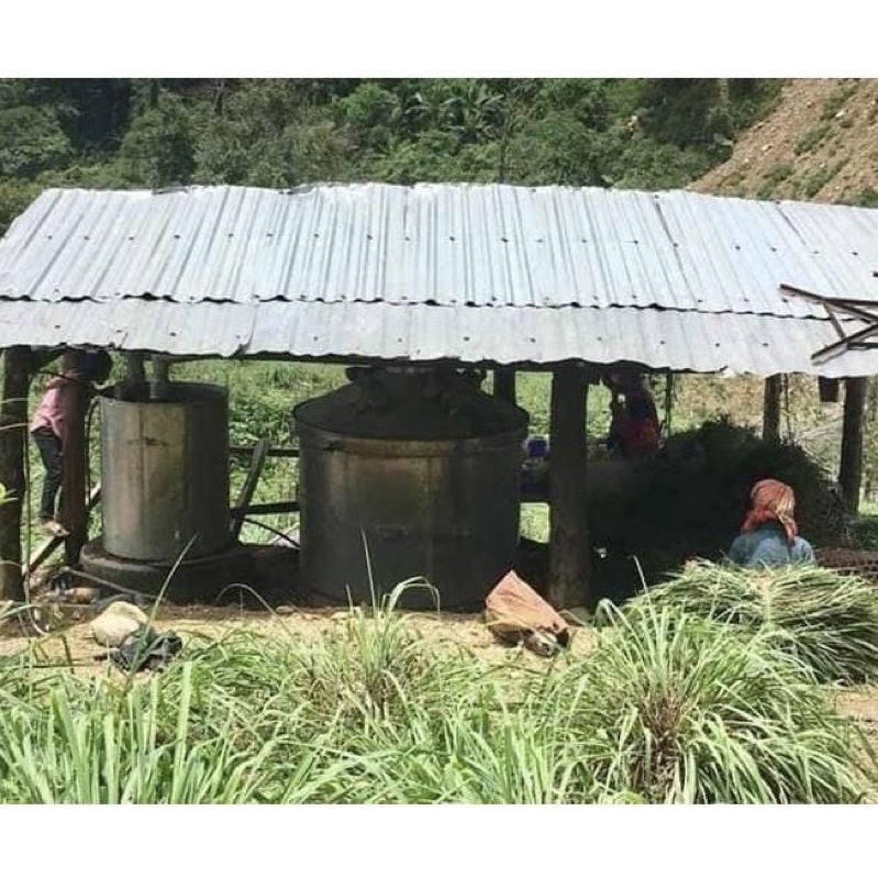 Tinh dầu xả nguyên chất