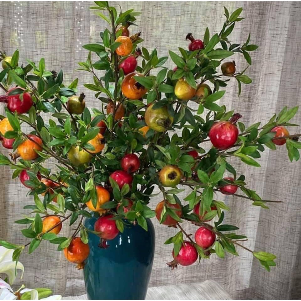 CÀNH LỰU PHONG THỦY 6 QUẢ TO CAO 80 cm