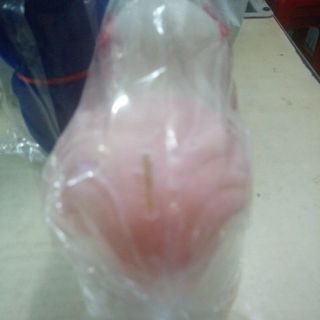 Ống heo nhựa