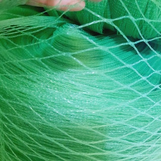 SIÊU RẺ combo 40 mét Lưới rào khổ cao 2m,lưới cước rào vườn quây chuồng gà vịt ô lưới vuông 3x3cm