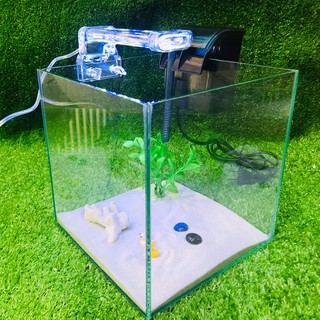 Bể cá mini CUBIC 20cm COMBO( CHỌN MẪU)Tặng 5 món phụ kiện trang trí