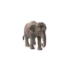 Mô hình Voi Châu Á cái SCHLEICH 14753