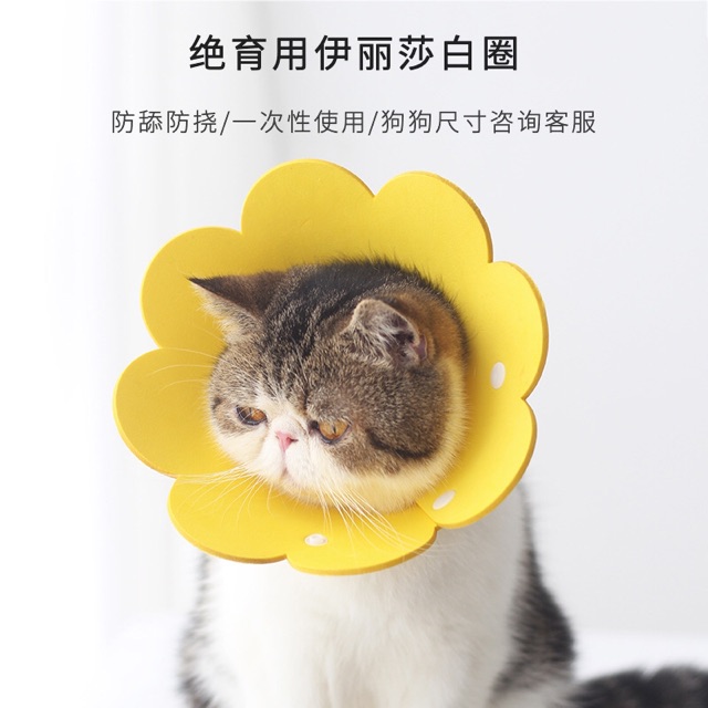 Vòng cổ chống liếm cho chó mèo