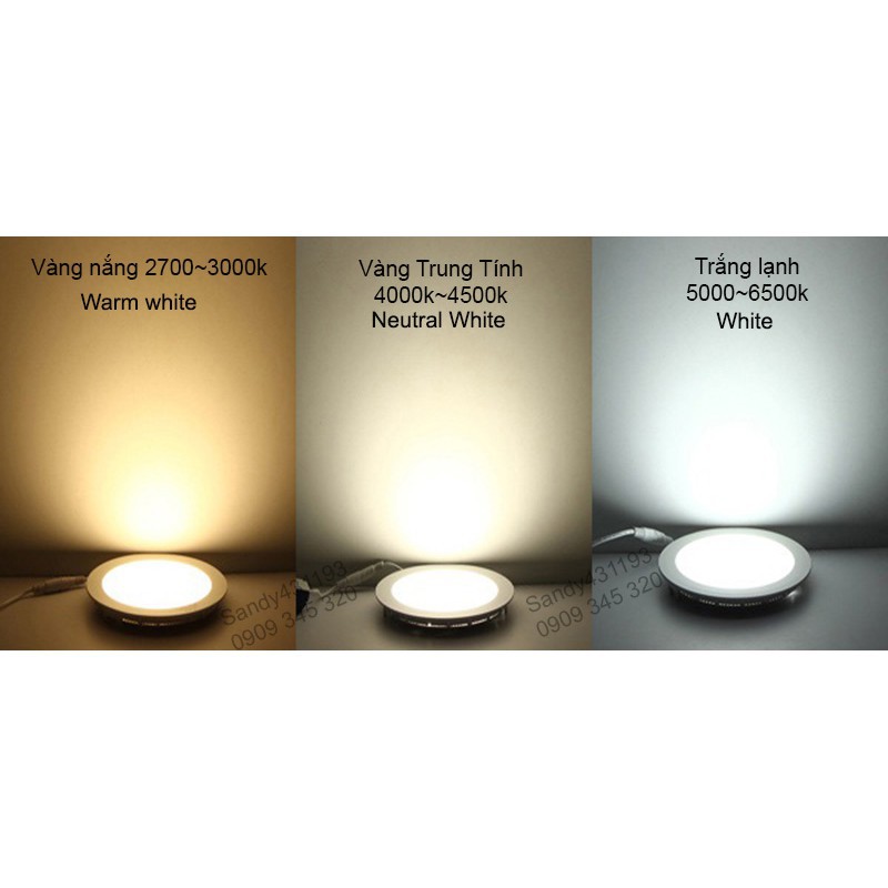 Đèn Rọi Ray COB Ống Bơ 12W - 20W Mã Y13