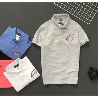 Áo thun nam cổ bẻ logo thêu cực đẹp