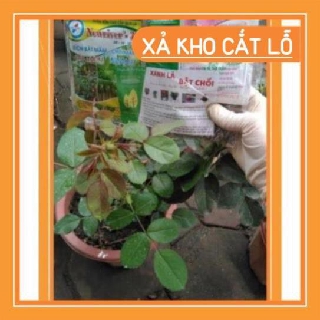 Combo 4 gói phân bón hoa hồng siêu khỏe chất lượng cao