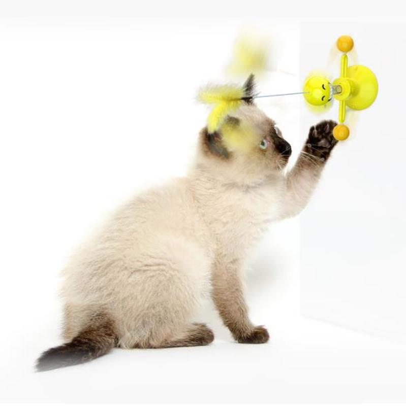 Đồ Chơi Vui Nhộn Cho Thú Cưng Mèo
