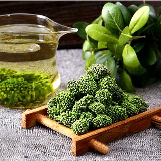 100g Nụ tam thất bào tử khô