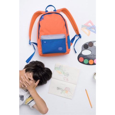 Balo thời trang cao cấp sử dụng đi học đi làm thương hiệu Parkland Edison