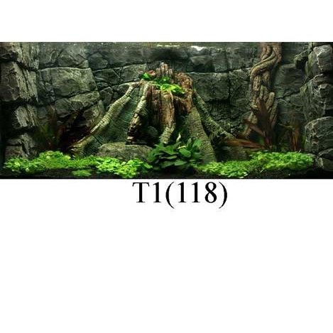 Tranh dán bể cá 3d nhiều kích thướt