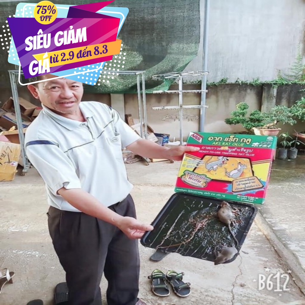 BẪY CHUỐT SIÊU TO KHỔNG LỒ THÁI LAN ( Ảnh chụp Thật)