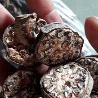 1kg Chuối hột rừng cắt lát