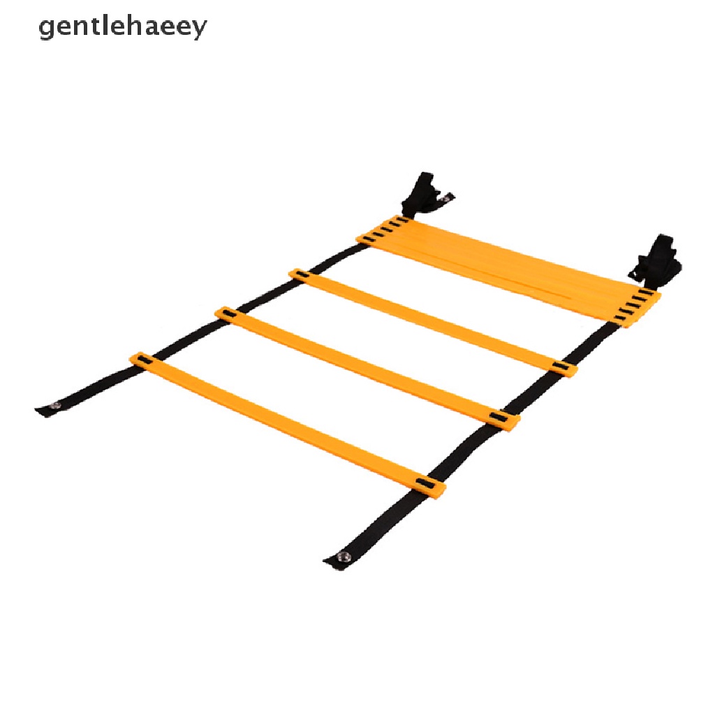 Thang Dây 12 Nấc 6M Luyện Tập Tốc Độ Đá Bóng