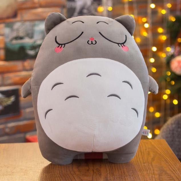 Gấu bông , gối ôm totoro chất liệu vải nhung Hàn Quốc cao cấp - M6 - BiBi Store