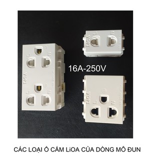 Ổ ĐÔI 3 CHẤU LiOA - MÔ ĐUN.
