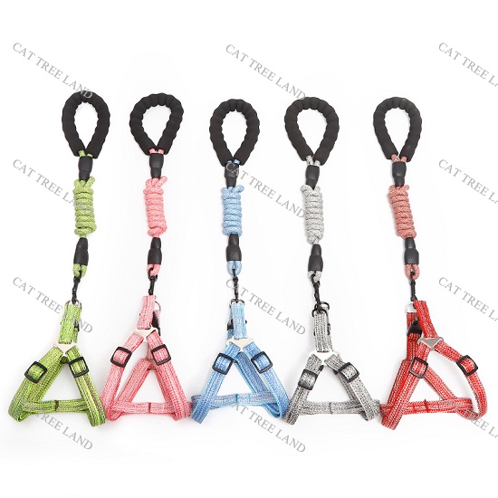 DÂY DẮT CHÓ MÈO KÈM ĐAI NGỰC - DÂY XÍCH CHO THÚ CƯNG