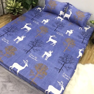 Ga chun và vỏ gối cotton polly