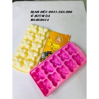 Vỉ Đá Tổng Hợp Bướm