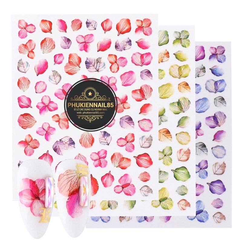 Sticker hoa khô các loại