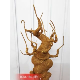 Gốc bon sai miền nam dáng trực + rêu sợi