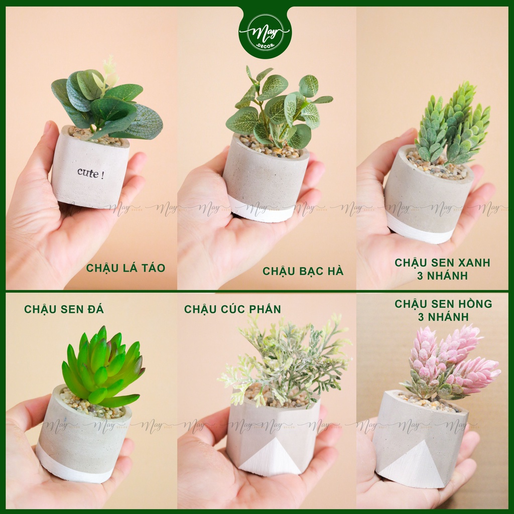 Chậu cây giả để bàn mini chất liệu chậu xi măng