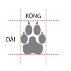 Giày Cao Su Giữ Sạch Chân Cho Chó