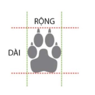 Giày Cao Su Giữ Sạch Chân Cho Chó (Bộ 4 Chiếc)